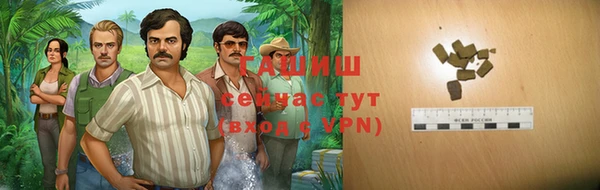 гашик Богородицк