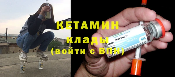 дмт Богданович