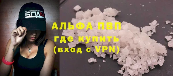 дмт Богданович