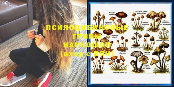 гашик Богородицк