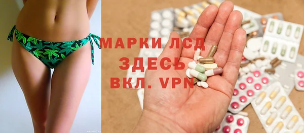 дмт Богданович