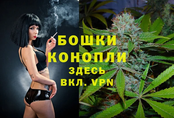 дмт Богданович