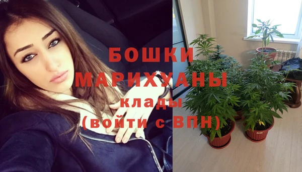 дмт Богданович