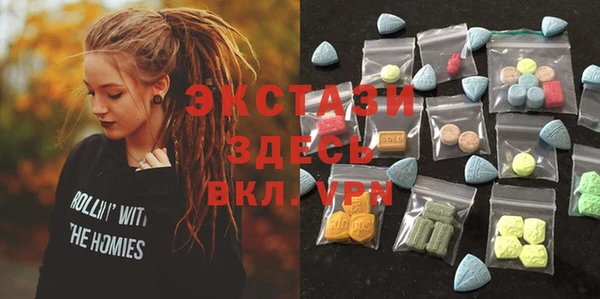 гашик Богородицк