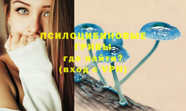 гашик Богородицк
