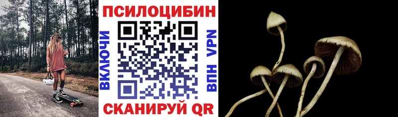 Псилоцибиновые грибы мицелий  Купить закладки  Советская Гавань 